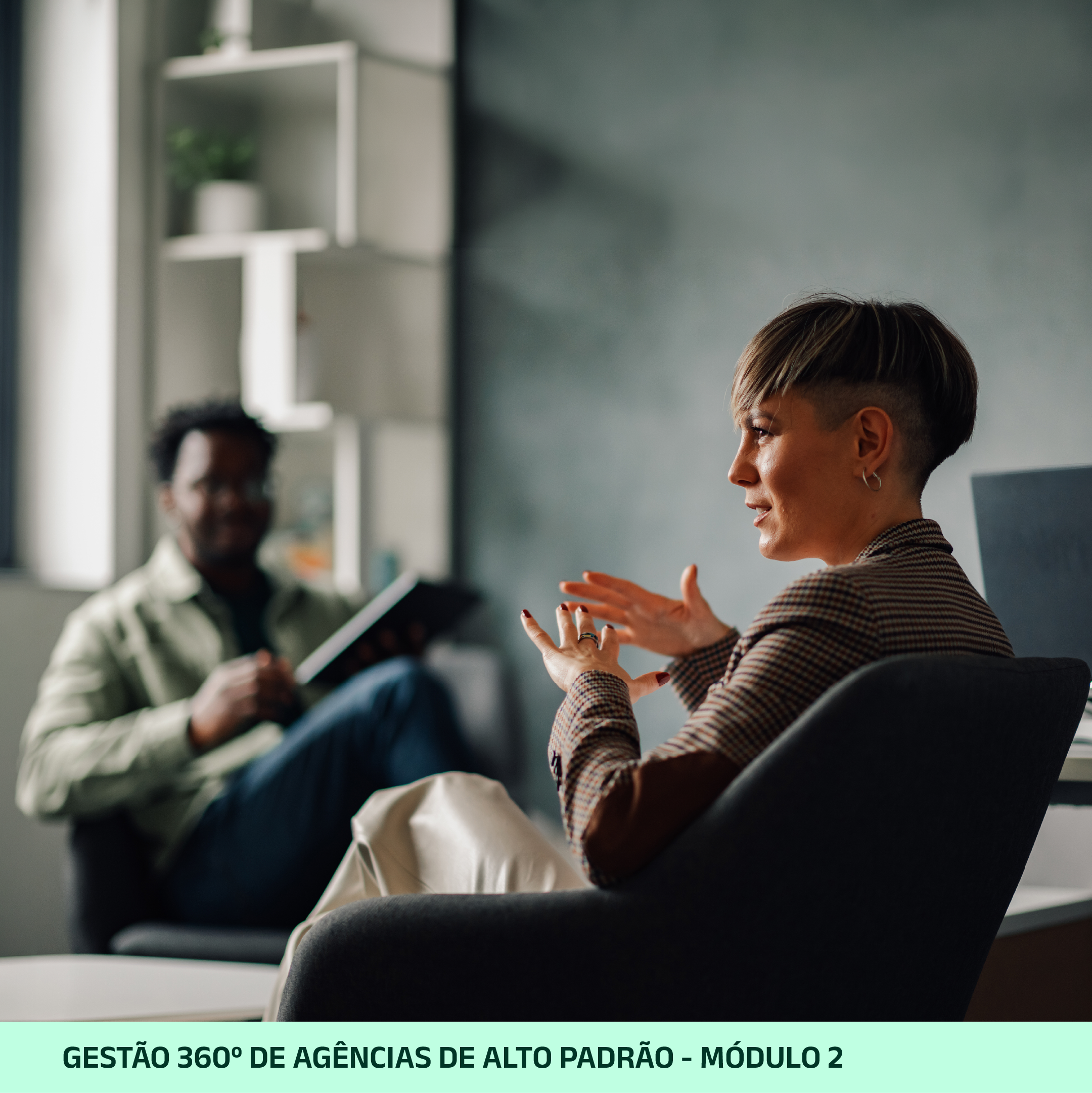 Gestão 360º de Agências de Alto Padrão | Curso completo - Imagem 3