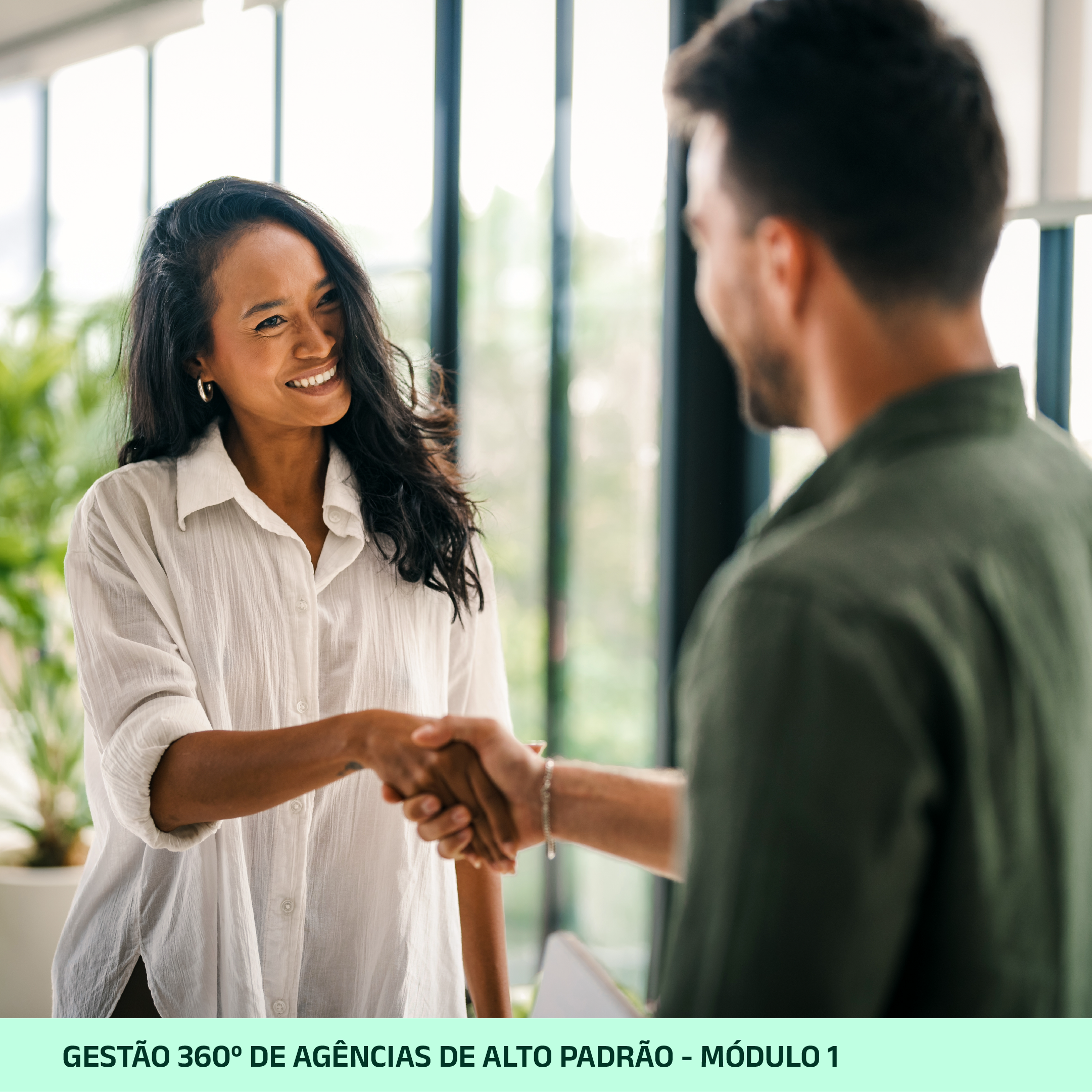 Gestão 360º de Agências de Alto Padrão | Curso completo - Imagem 2